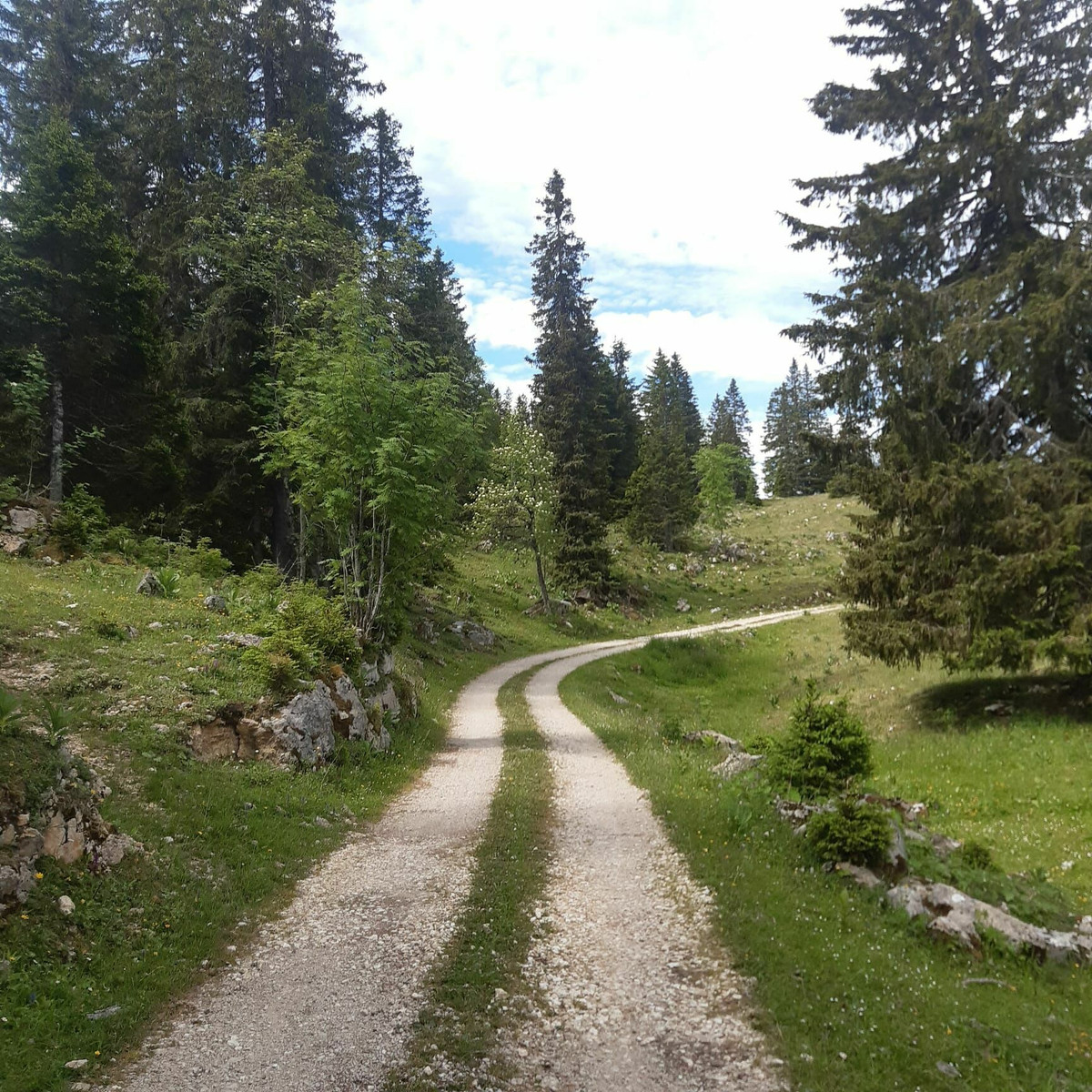 direction notre second col, le Marchairuz par le circuit vtt