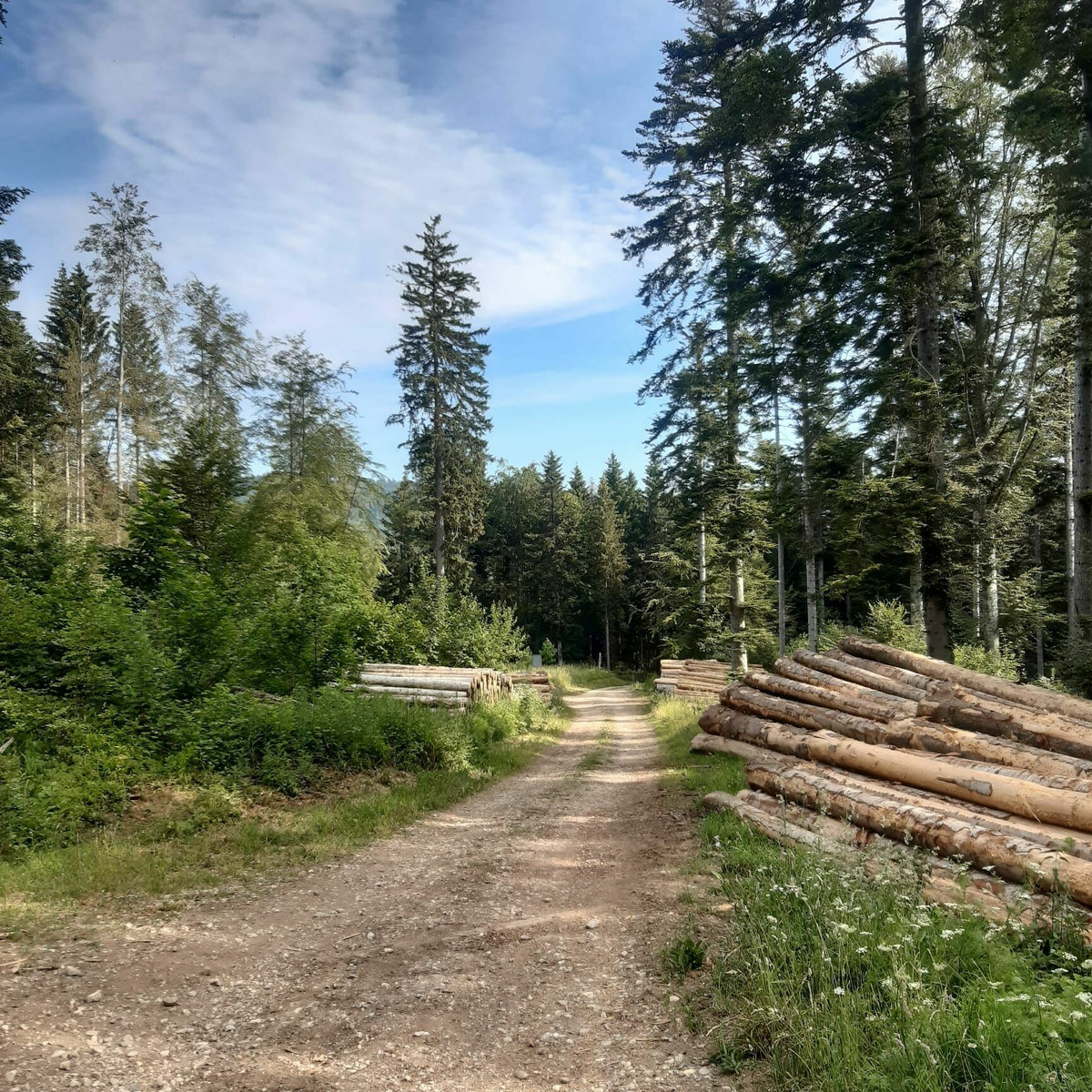 Retour sur les chemins après le hameau du Cosson