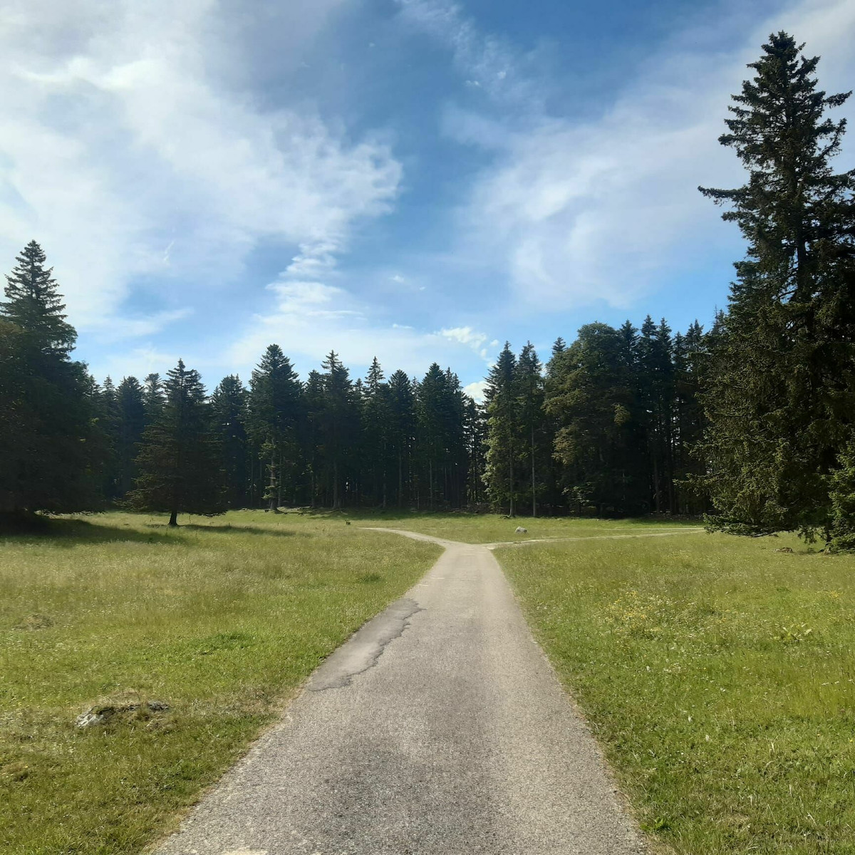 à droite pour le col du Mollendruz