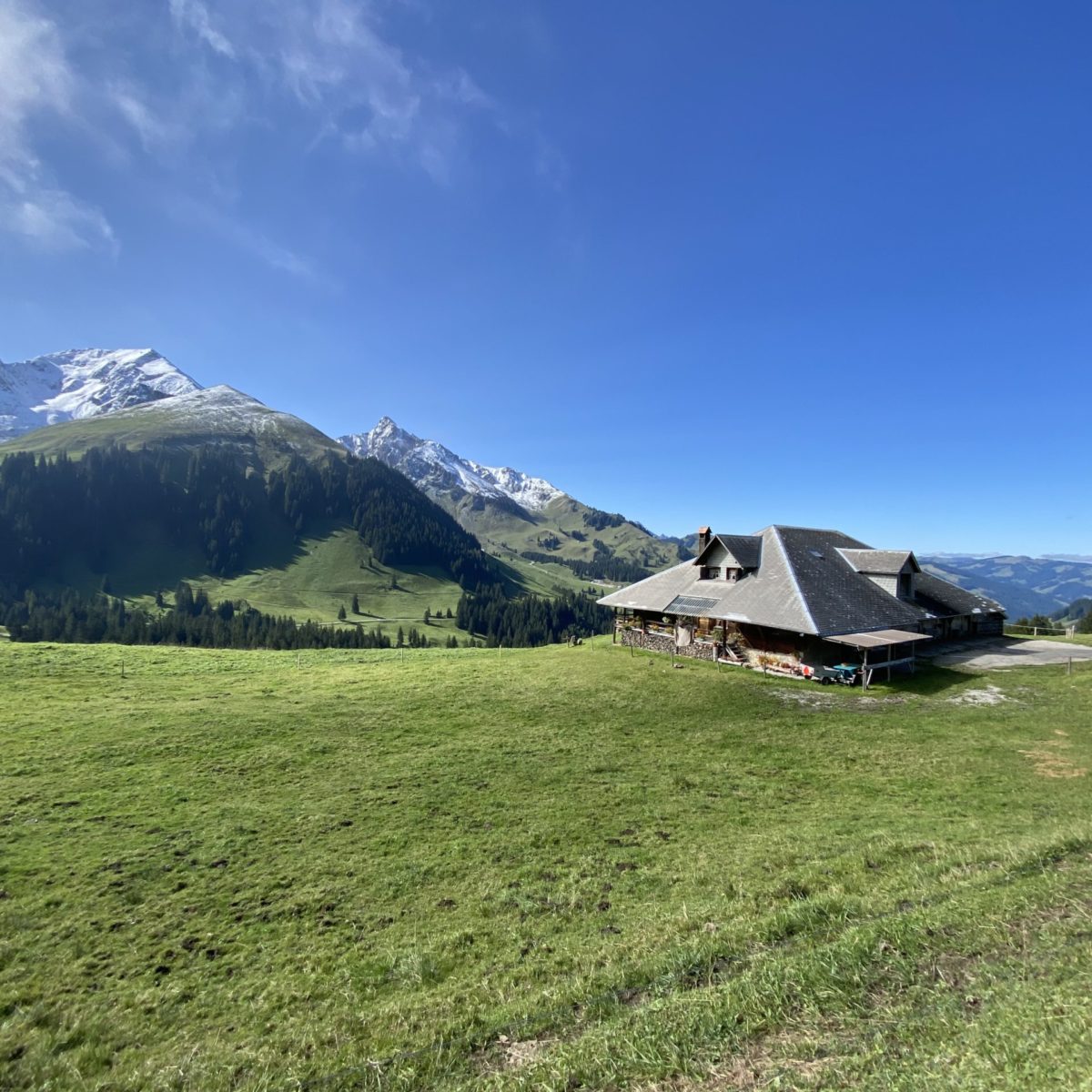 Gurnigelpass - Septembre 2024 (34)