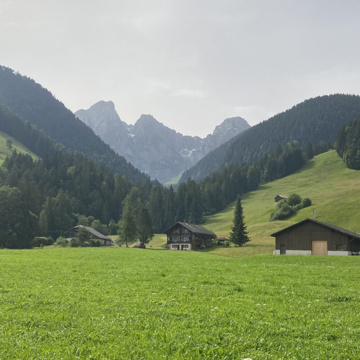 Mittelberg 2024 (75)
