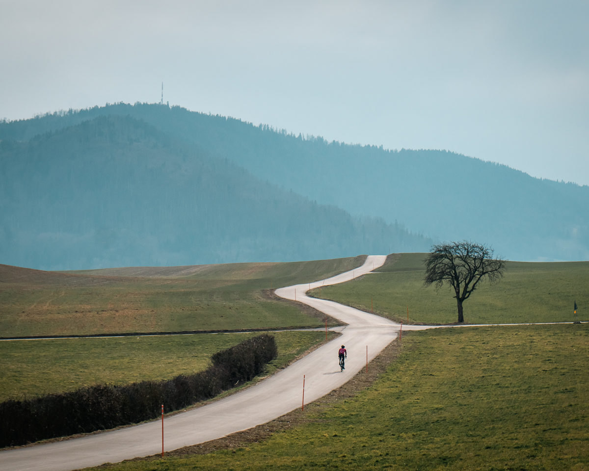 250310 Romainmotier Vaud gravel-03497