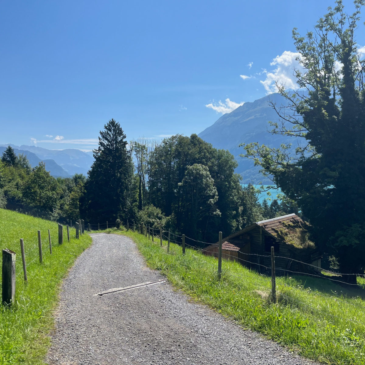 20250807-Brienz_3 20250807-Brienz_3