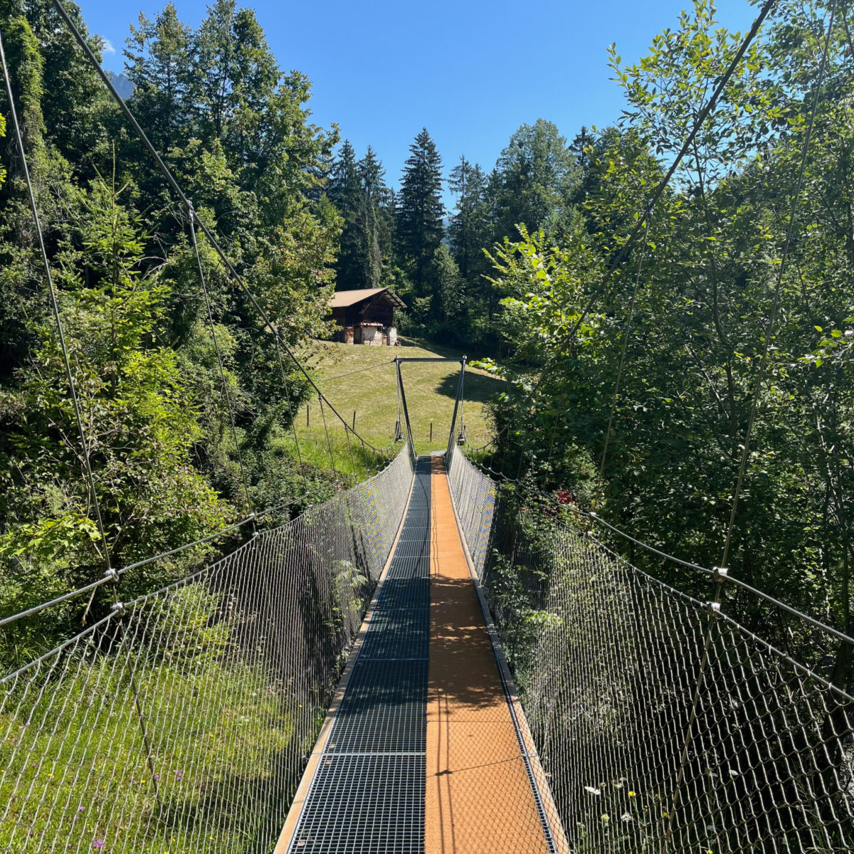 20250807-Brienz_4 20250807-Brienz_4