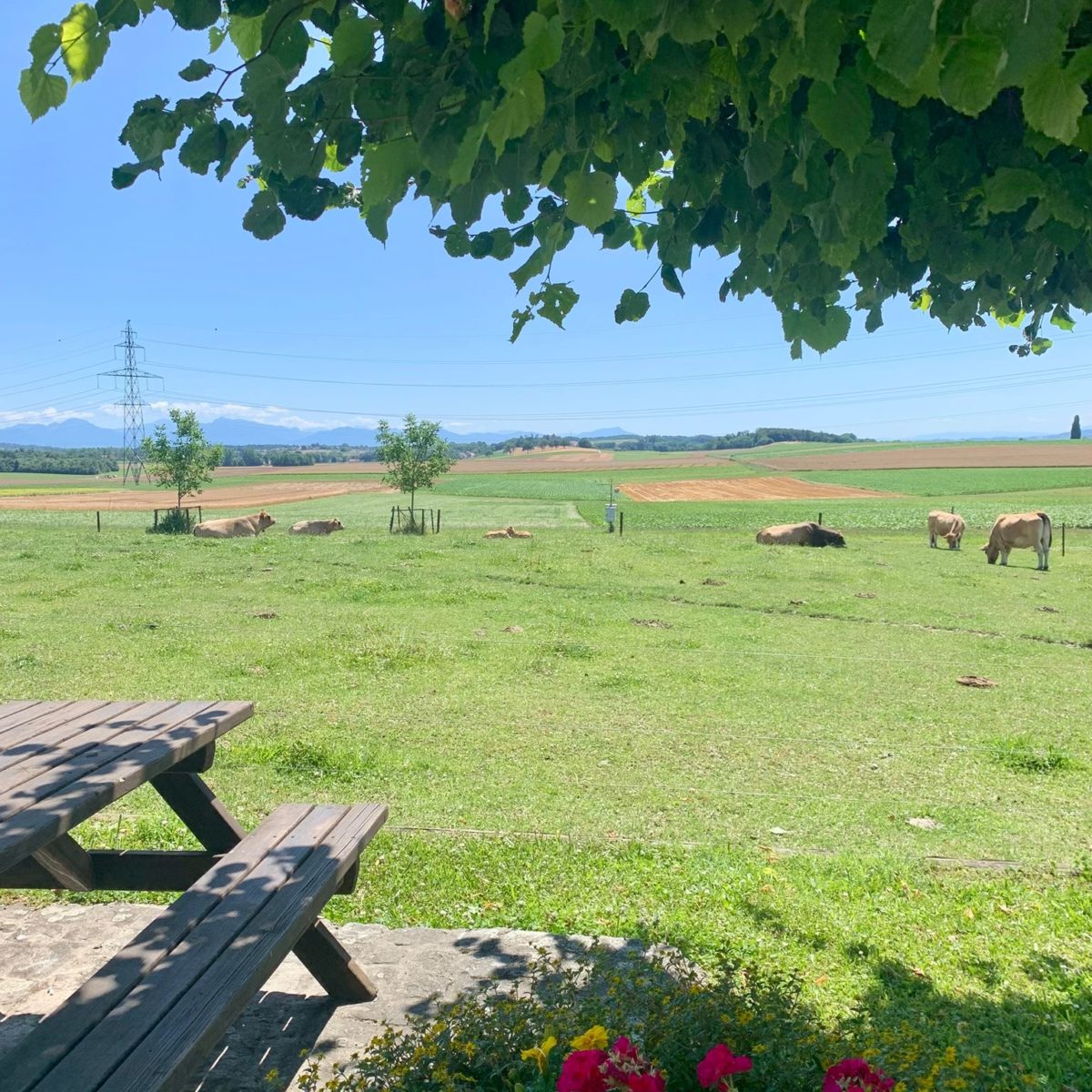 Mini Tour de Suisse_2 Mini Tour de Suisse_2