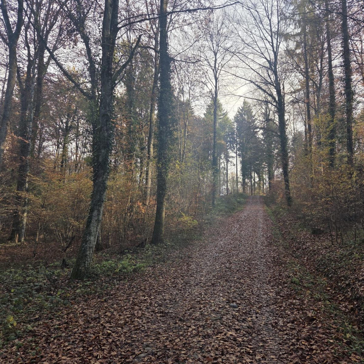 Afterwork Loz nord-ouest-10 Afterwork Loz nord-ouest-10