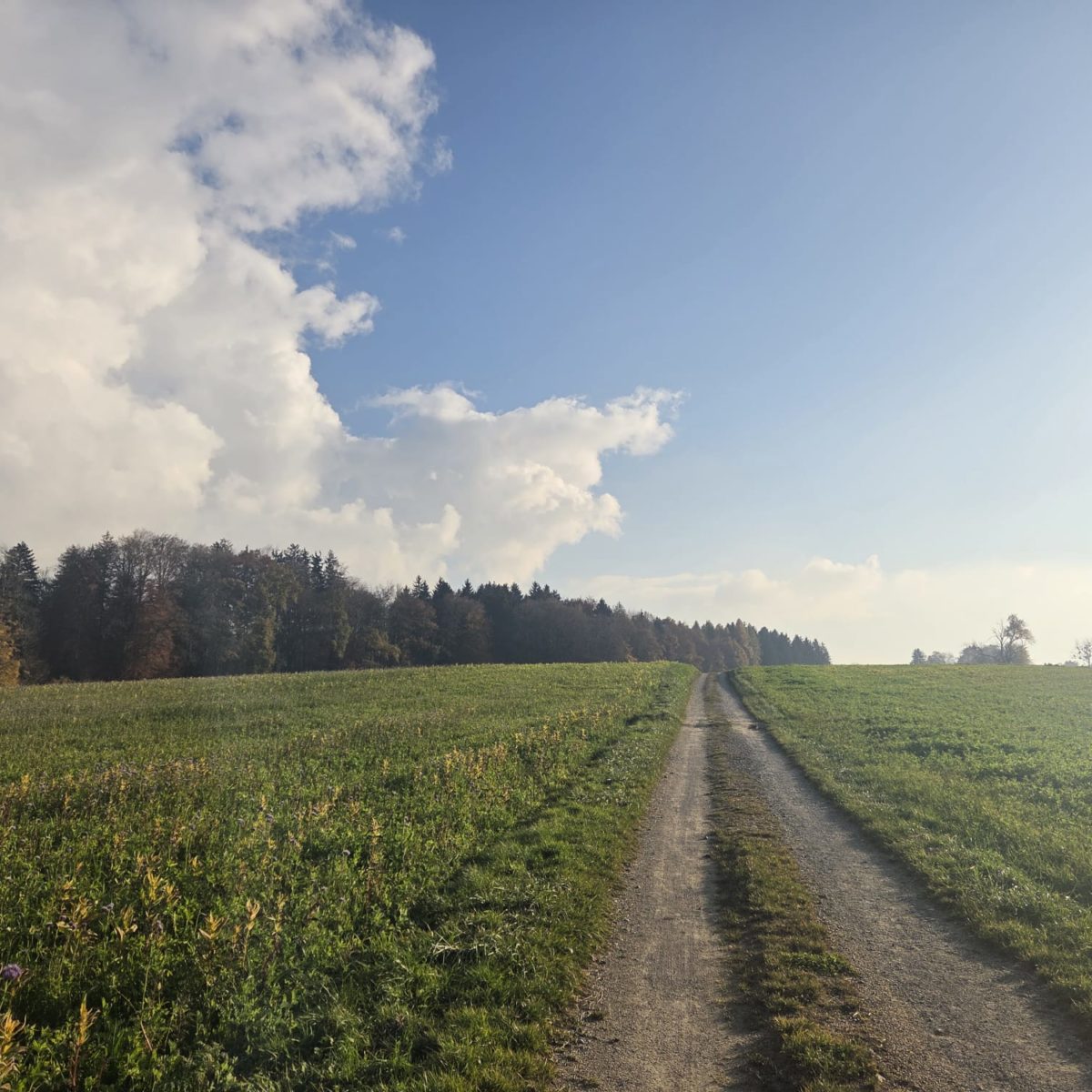 Afterwork Loz nord-ouest-11 Afterwork Loz nord-ouest-11