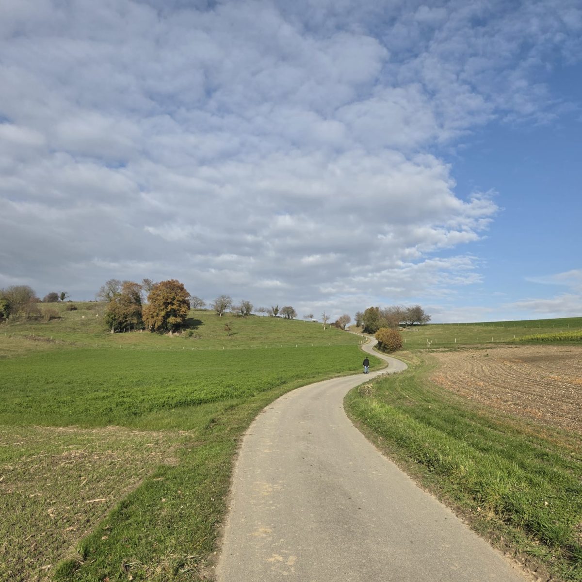 Afterwork Loz nord-ouest-2 Afterwork Loz nord-ouest-2