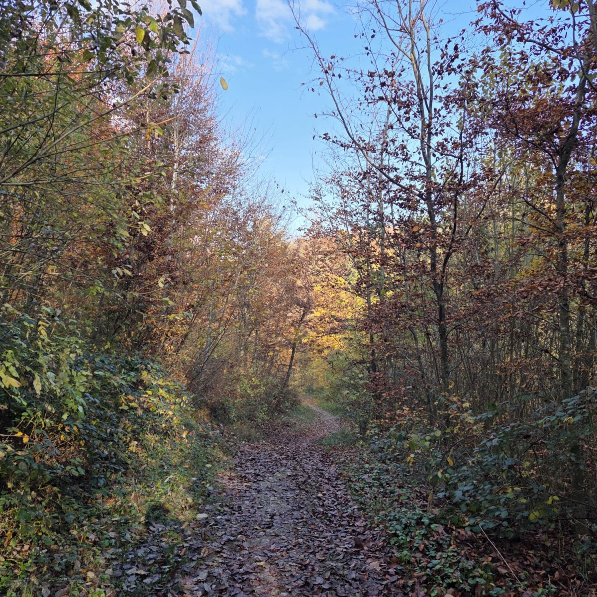 Afterwork Loz nord-ouest-5 Afterwork Loz nord-ouest-5