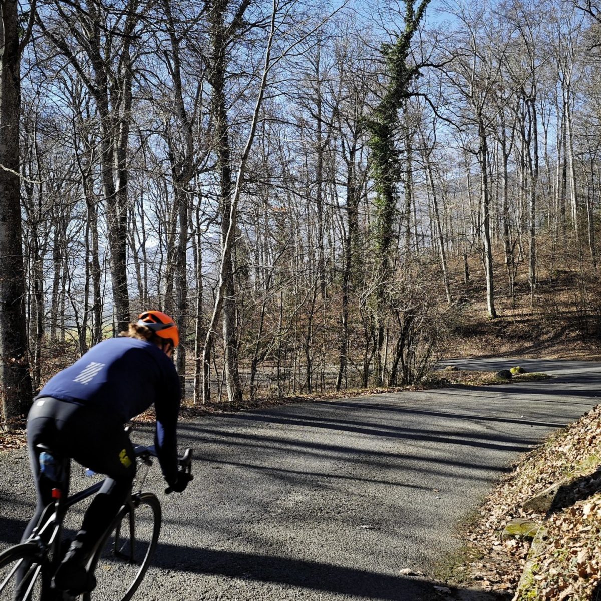 Boucle champagnarde (3) Boucle champagnarde (3)