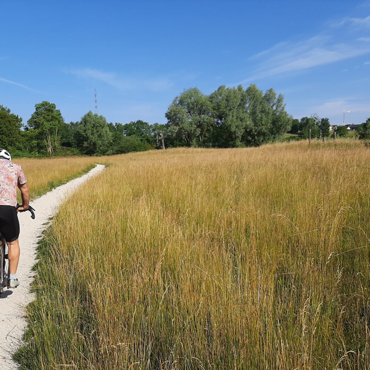 Col des Moises_1 Col des Moises_1