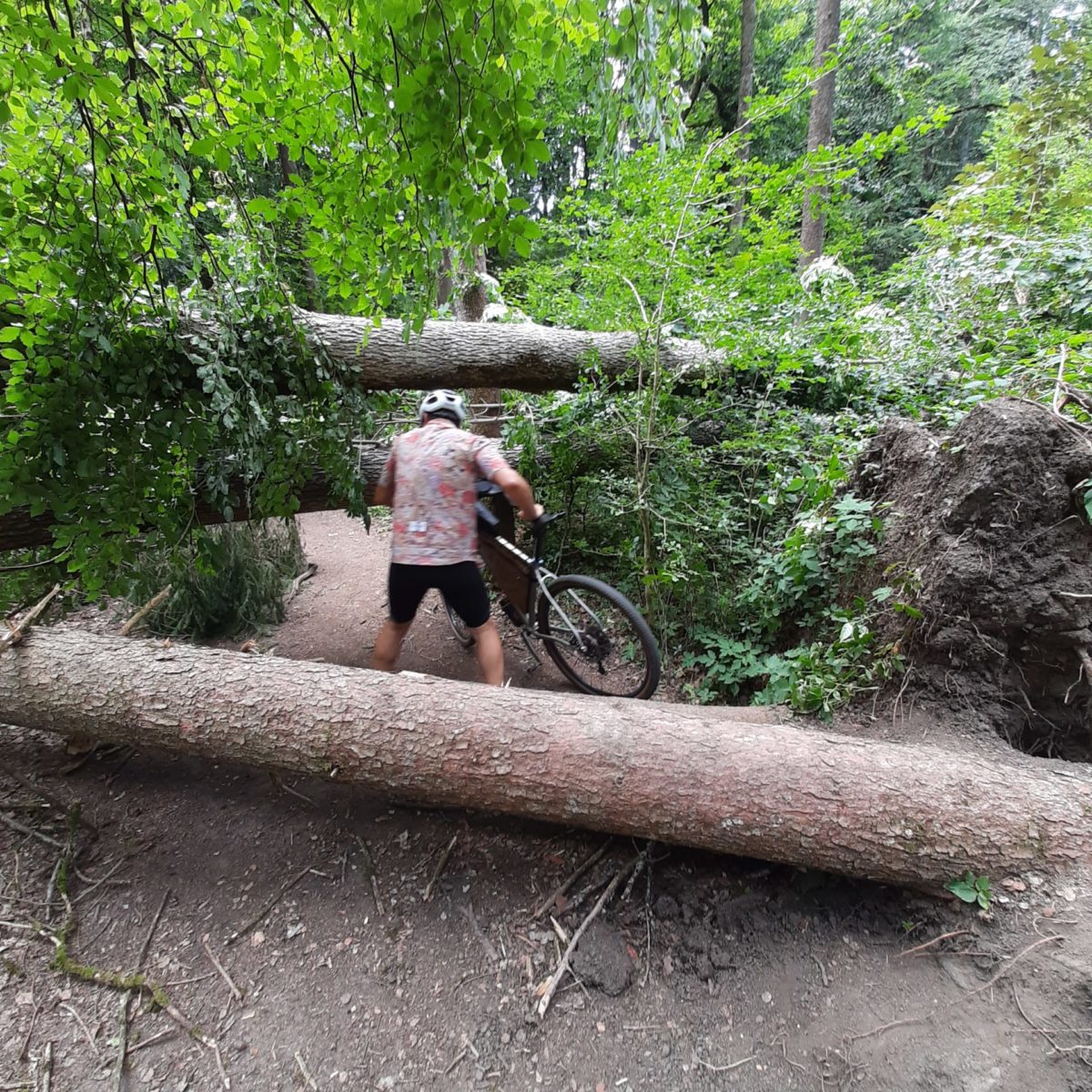 Col des Moises_6 Col des Moises_6